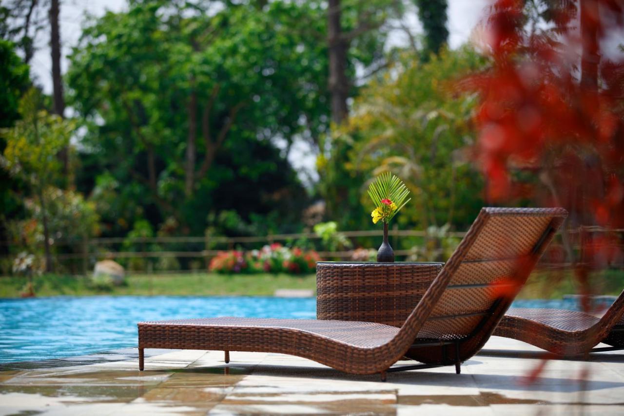 Jungle Villa Resort - Near Chitwan National Park מראה חיצוני תמונה